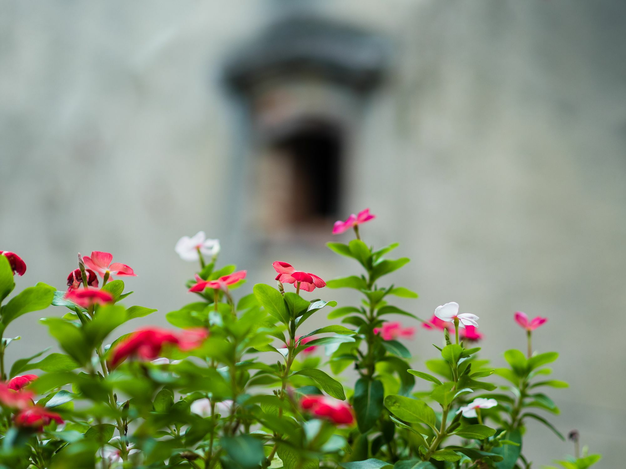 Hanoi Balcony Homestay ภายนอก รูปภาพ